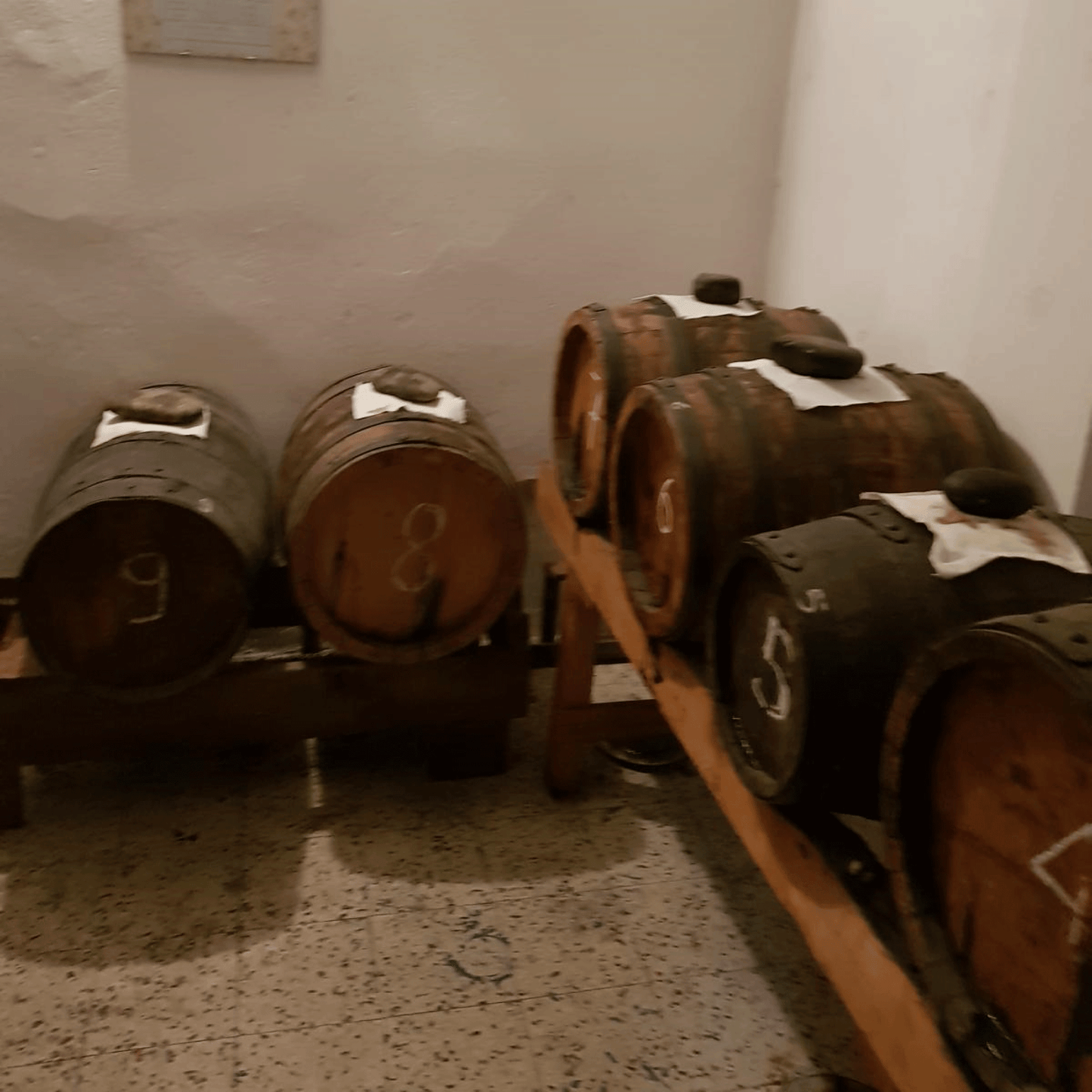 Balsamico familiare Acetaia Bellesia 2025, +80 anni, 100ml.